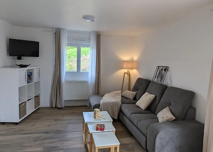 Familial A Avec Entree Privative - Fr-1-589-826 La Croix-aux-Mines